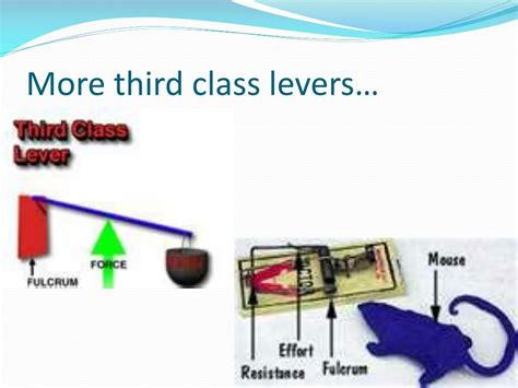 Ppt Types Of Levers Powerpoint Presentation Free Download Id 2689158