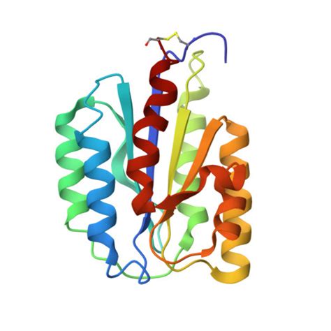 Rcsb Pdb 6adl Anthrax Toxin Receptor 1 Bound Spent Particles Of