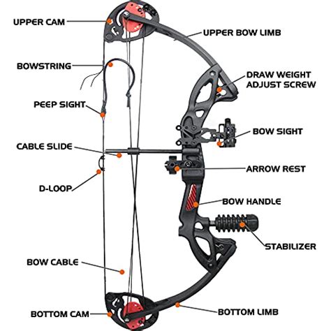 Archery Compound Bow And Arrow For Beginner And Youth，bowfishing And