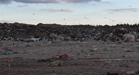 Guaymallén Tiene El Basural A Cielo Abierto Más Grande Y Contaminante