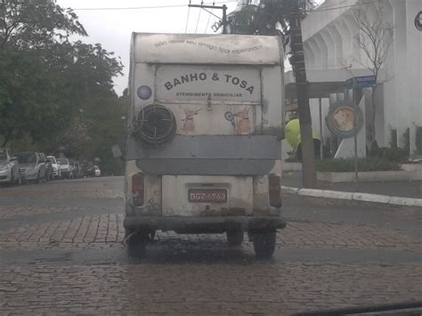 Banho E Tosa A Domic Lio O Detalhe A Mangueira Que O Cara Leva No