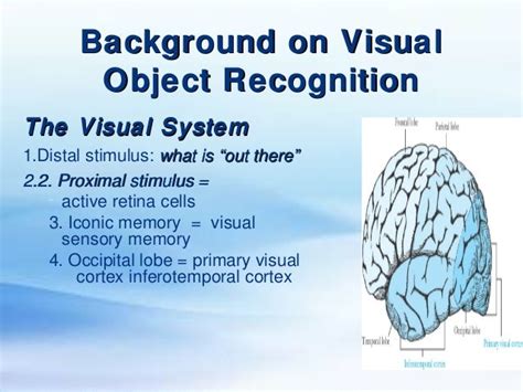 Recognising Visual and Auditory Stimuli