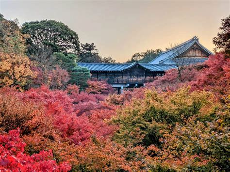 日本賞楓景點攻略！精選19個人氣賞楓景點、楓紅時間，秋季限定油畫般的浪漫景色！ 輕旅行