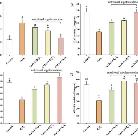 Mda A Cat B Sod C And Gsh Px D Contents Of Different Groups