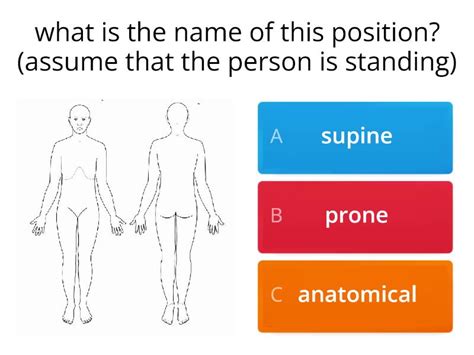 anatomical directions quiz