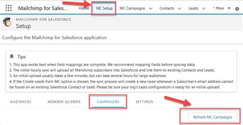 Mailchimp To Salesforce Integration Create Campaign Members Blu