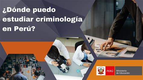 Estudiar Para Ser Criminóloga Requisitos Y Formación Ar