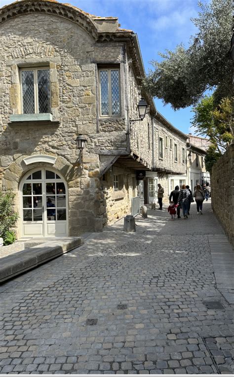 Visitez Carcassonne Une Plong E Dans L Histoire Les Choupinous