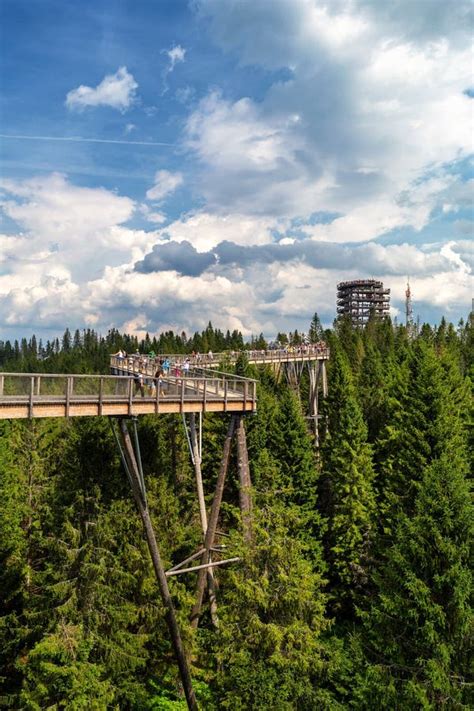 Bachledova Dolina Treetop Walk Slovakia Europa Imagen De Archivo