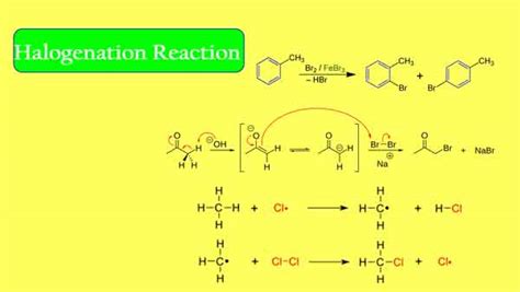 Pumpe Reaktor Whirlpool halogenation of alkanes mechanism Motivation Sprich mit Morgengymnastik