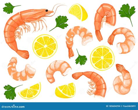 Shrimps Shrimps Without Shell Shrimp Meat Shrimp Prawn Icons Set