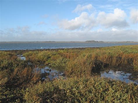 Saltmarsh Tide Pool Jonathan Wilkins Cc By Sa 2 0 Geograph Britain