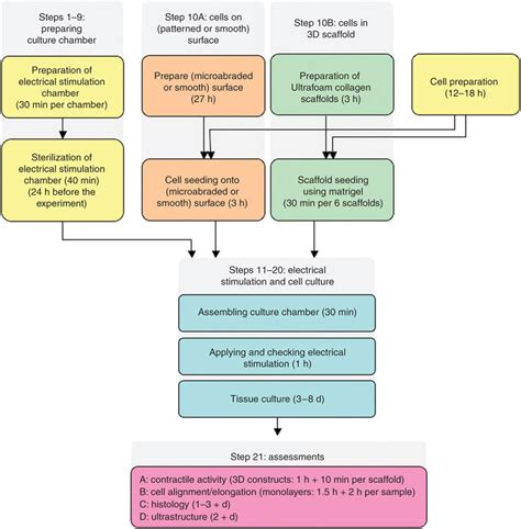 Generalized Protocol Flow Chart The Steps In This Protocol Can