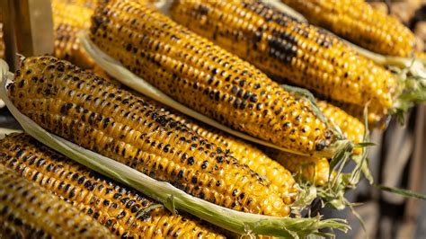 Aprender Acerca Imagen El Elote A Que Grupo De Alimentos Pertenece