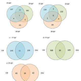 Venn Diagrams Showing The Number Of Significant Sex Biased Genes In