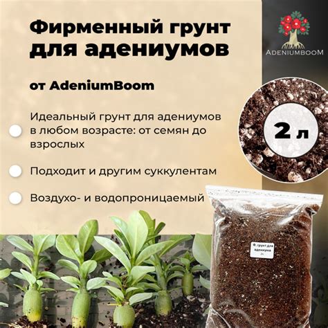 Фирменный грунт для адениума, 2л. / готовый грунт для растений ...