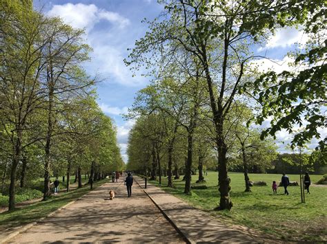 Trent Park Enfield Day Out With The Kids