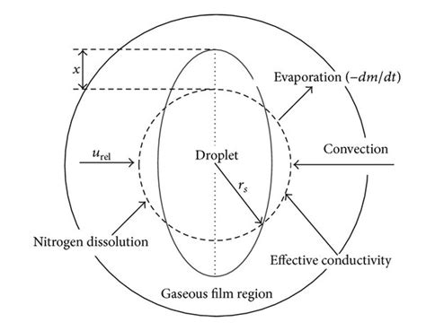 Schematic Diagram Of The Droplet Deformation And Evaporation Model