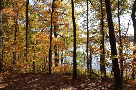 Pokagon State Park - Parks Guidance