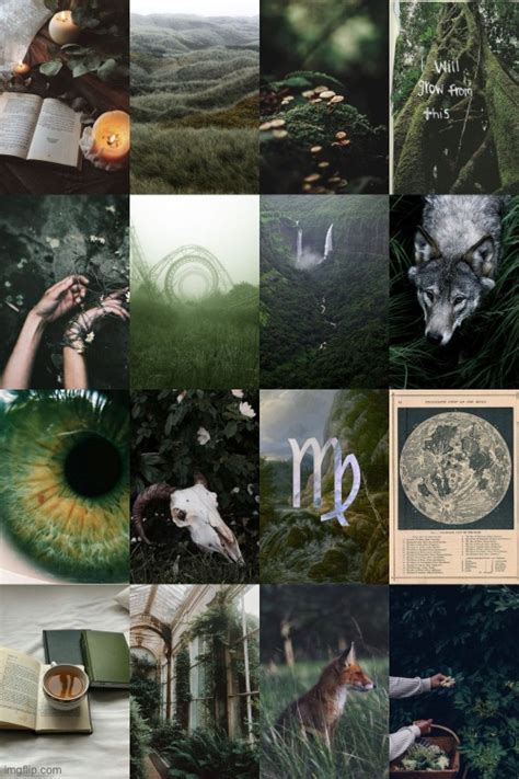 I Found This Cool Virgo Aesthetic Wallpaper For Any Of My Fellows