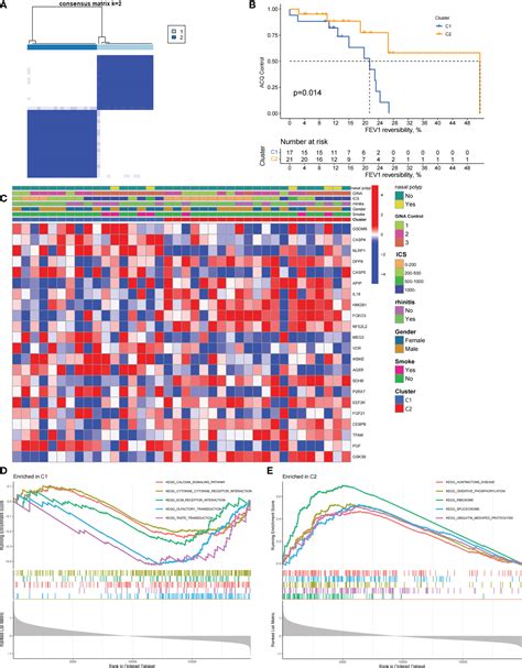 Frontiers Identification Of Pyroptosis Related Subtypes And