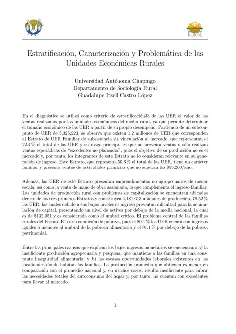 Estratificaci N Caracterizaci N Y Problem Tica De Las Unidades Econ