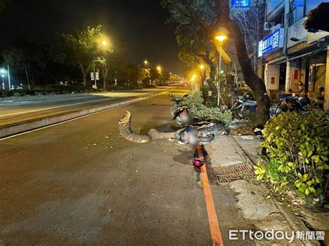 台中台灣大道路樹暗夜斷裂砸地 2騎士閃不過衰撞倒地車毀人傷 Ettoday社會新聞 Ettoday新聞雲