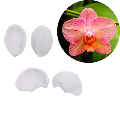 Moth Orchid Veiner Silicone Mold Moth Orchid Flower Fondant Veiner