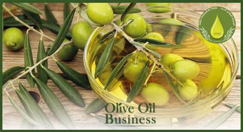 الديوان الوطني للزيت مخزون زيت الزيتون في حدود 5 آلاف طن Olive Oil