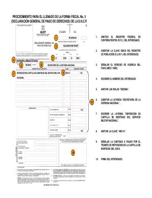 Fillable Online PROCEDIMIENTO PARA EL LLENADO DE LA FORMA Fax Email