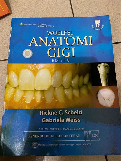 Anatomi Gigi Woelfel Free Ongkir Books Stationery Textbooks On