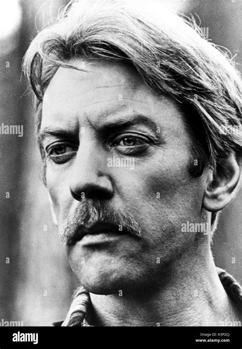 The Disappearance Br Can 1977 Donald Sutherland Date 1977 Stock