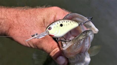 5 Great Crankbaits For Fall Bass Fishing Wired2fish