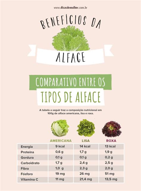 Conheça as propriedades nutricionais e principais benefícios da alface