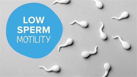 Low Sperm Motility What Is It And How To Prevent It