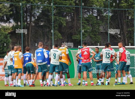 S O Paulo Sp Treino Do Palmeiras The Coach Roger