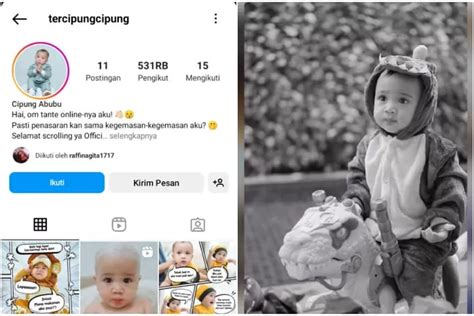 Finally Cipung Punya Akun Instagram Sendiri Baru 2 Hari Followers