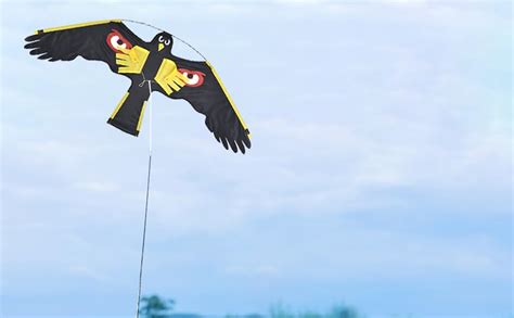 Flying Hawk Kite Bird Scare Kite With M String Reflective Flying