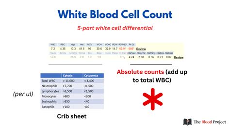 WBC Count • The Blood Project