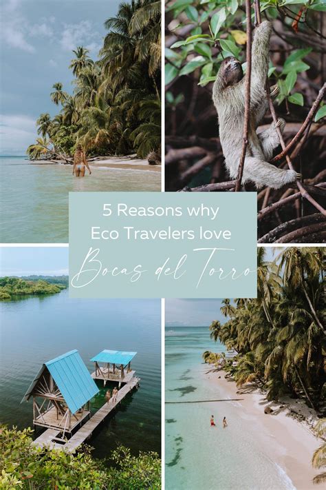5 Reasons why Eco Travelers love Bocas del Toro - Sun Chasing Travelers