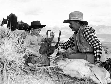 The fascinating life of gregory hemingway was filled with unexpected turns 17