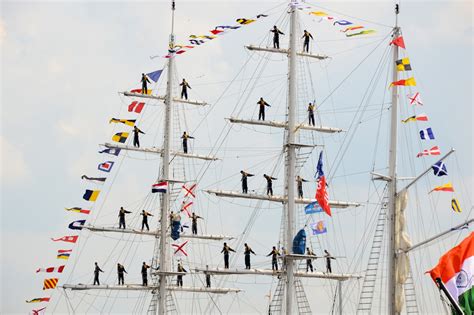 Sail Amsterdam 2015 Free Stock Photo Public Domain Pictures