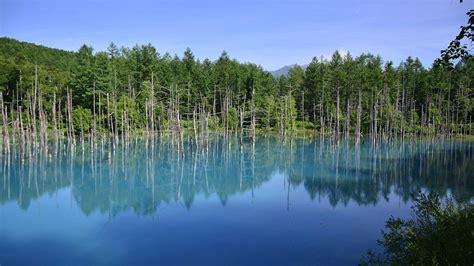 Tempat Wisata Terbaik Di Hokkaido Jepang Buat Dikunjungi Saat Musim