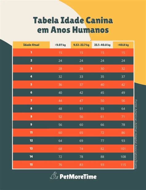 Cachorro Com 10 Anos Tem Quantos Anos - Tabela de Idade de Cachorro: Como calcular a idade de um cachorro ...