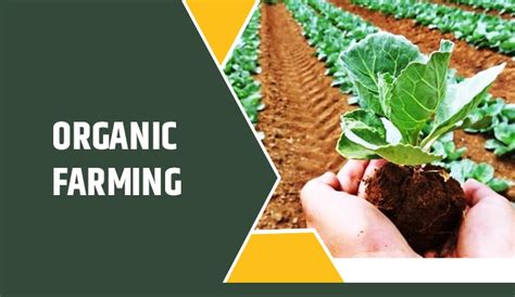 Top 10 Agriculture Business Ideas 2023 Most Profitable Farming In