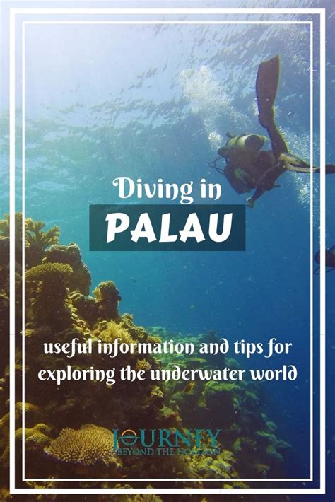 Diving in Palau- useful information for exploring the underwater world