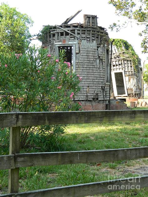 Ruins on Cumberland Island Photograph by Tina M Powell - Fine Art America