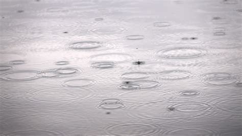 Drizzle Weather Stock Footage Video | Shutterstock