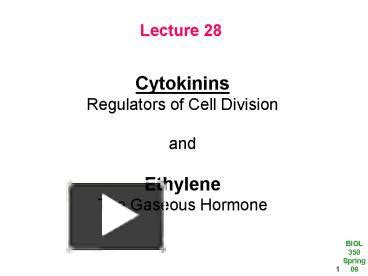 Ppt Cytokinins Powerpoint Presentation Free To View Id Ff Zdc Z