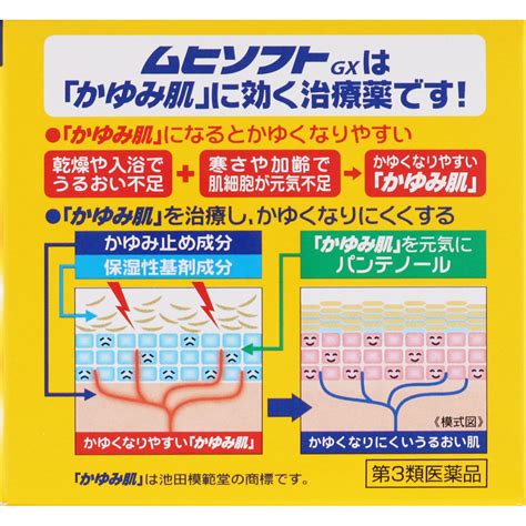 ★かゆみ肌の治療薬 ムヒソフトgx 150g 【第三類医薬品】 医薬品・衛生用品 Tomods Online Shop